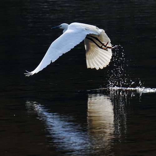 내 부모님도 받을 수 있는 장기요양등급, 이렇게 하면 쉽게 신청할 수 있어요!