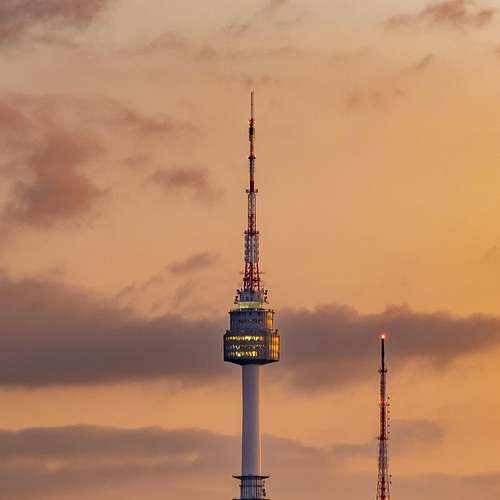 행복한 일상을 위한 세로토닌: 효능, 영양제, 그리고 증후군에 대해 알아보아요