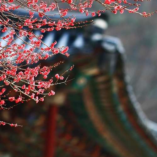 놓치면 안 되는 제왕절개, 산후조리 지원금 및 각종 육아수당 총정리 (2025년판)