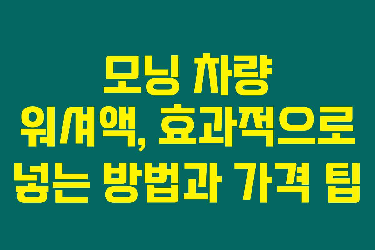 모닝 차량 워셔액, 효과적으로 넣는 방법과 가격 팁