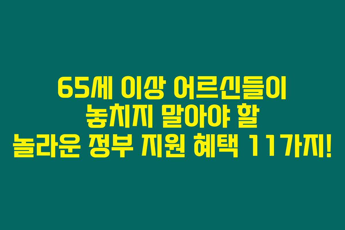 65세 이상 어르신들이 놓치지 말아야 할 놀라운 정부 지원 혜택 11가지!