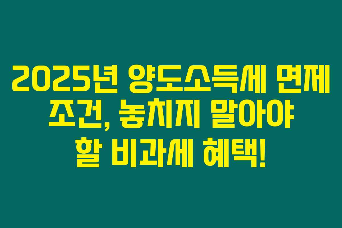 2025년 양도소득세 면제 조건, 놓치지 말아야 할 비과세 혜택!