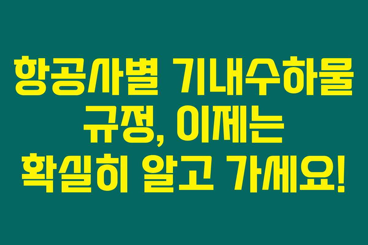 항공사별 기내수하물 규정, 이제는 확실히 알고 가세요!