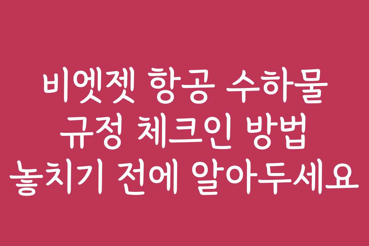 비엣젯 항공 수하물 규정 체크인 방법 놓치기 전에 알아두세요