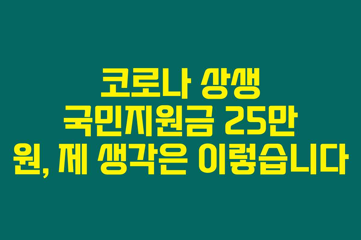 코로나 상생 국민지원금 25만 원, 제 생각은 이렇습니다