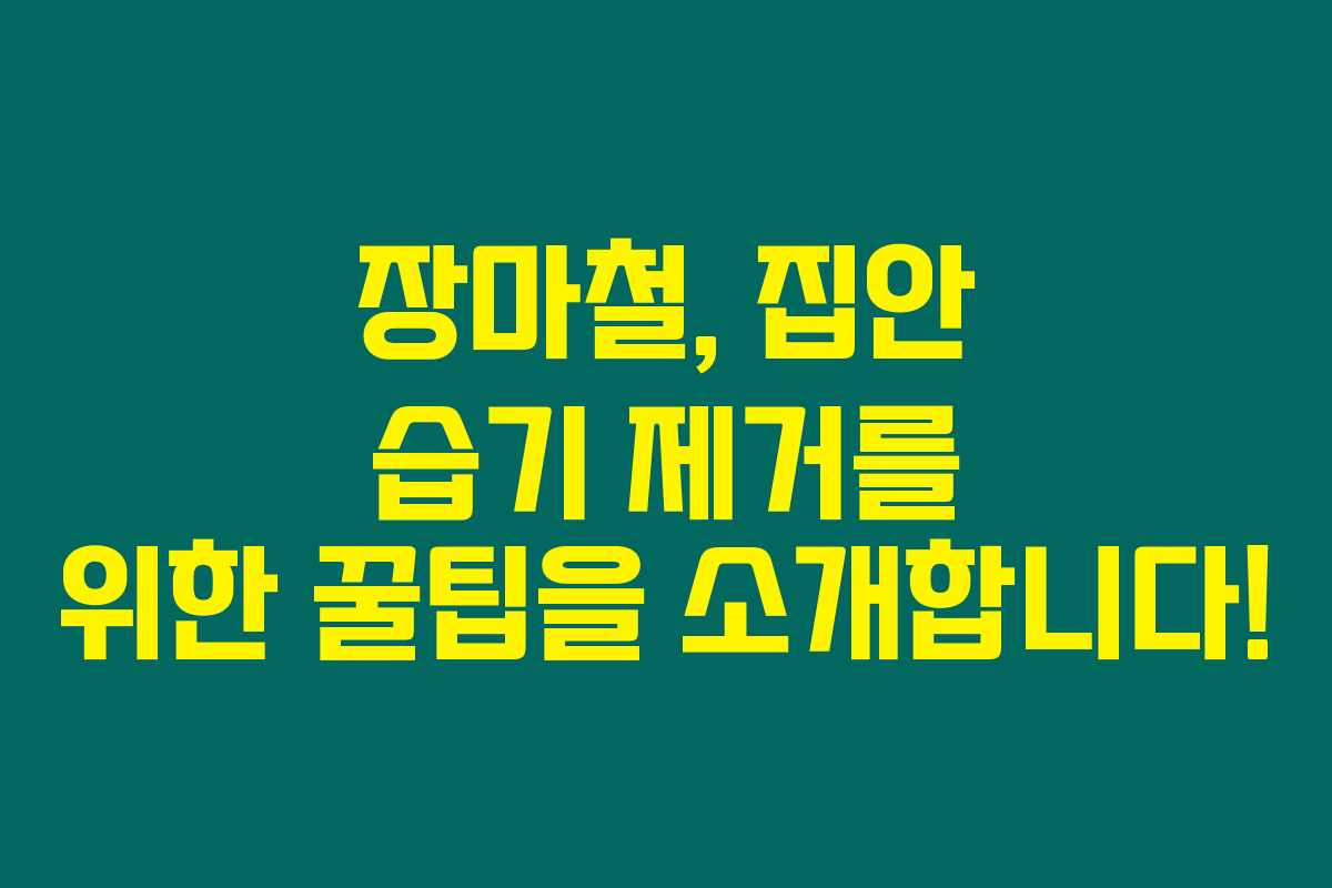 장마철, 집안 습기 제거를 위한 꿀팁을 소개합니다!