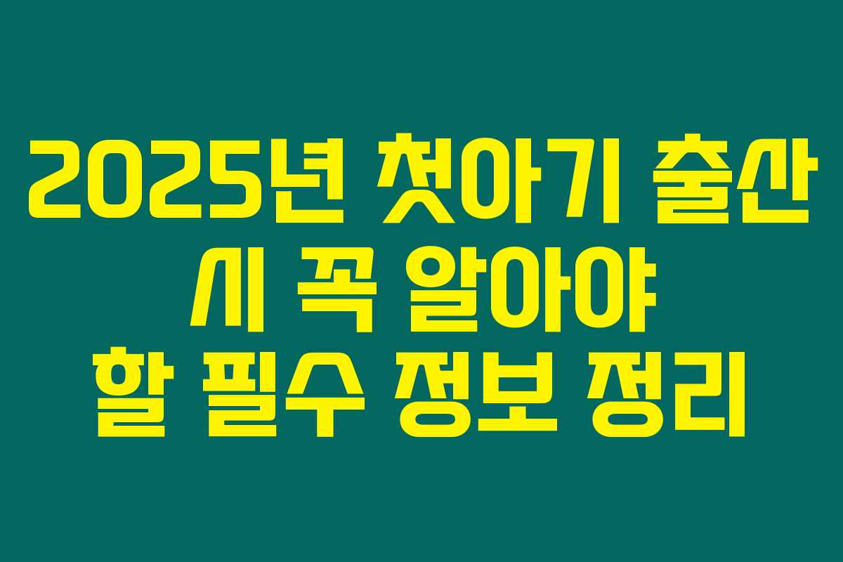 2025년 첫아기 출산 시 꼭 알아야 할 필수 정보 정리