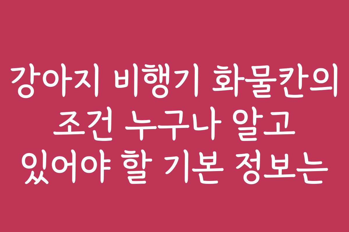강아지 비행기 화물칸의 조건 누구나 알고 있어야 할 기본 정보는