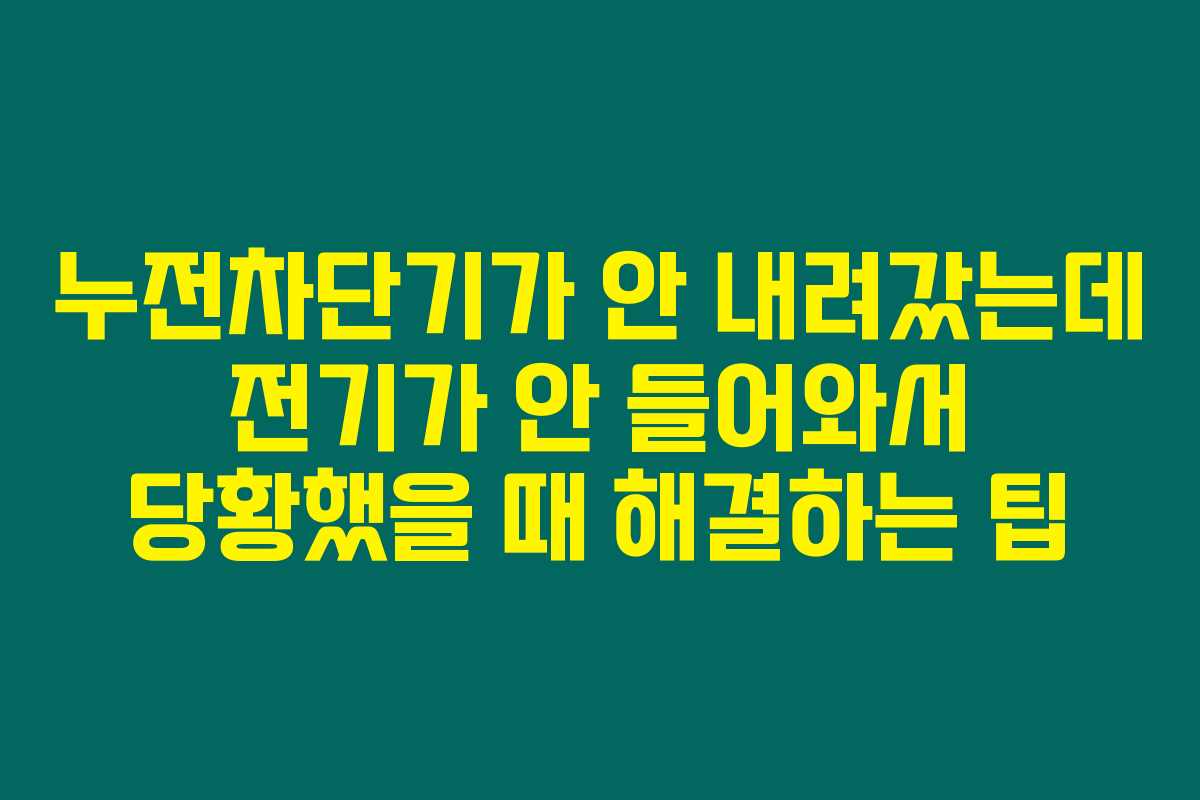 누전차단기가 안 내려갔는데 전기가 안 들어와서 당황했을 때 해결하는 팁