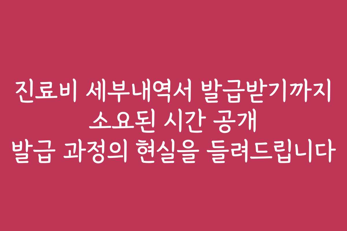 진료비 세부내역서 발급받기까지 소요된 시간 공개 발급 과정의 현실을 들려드립니다