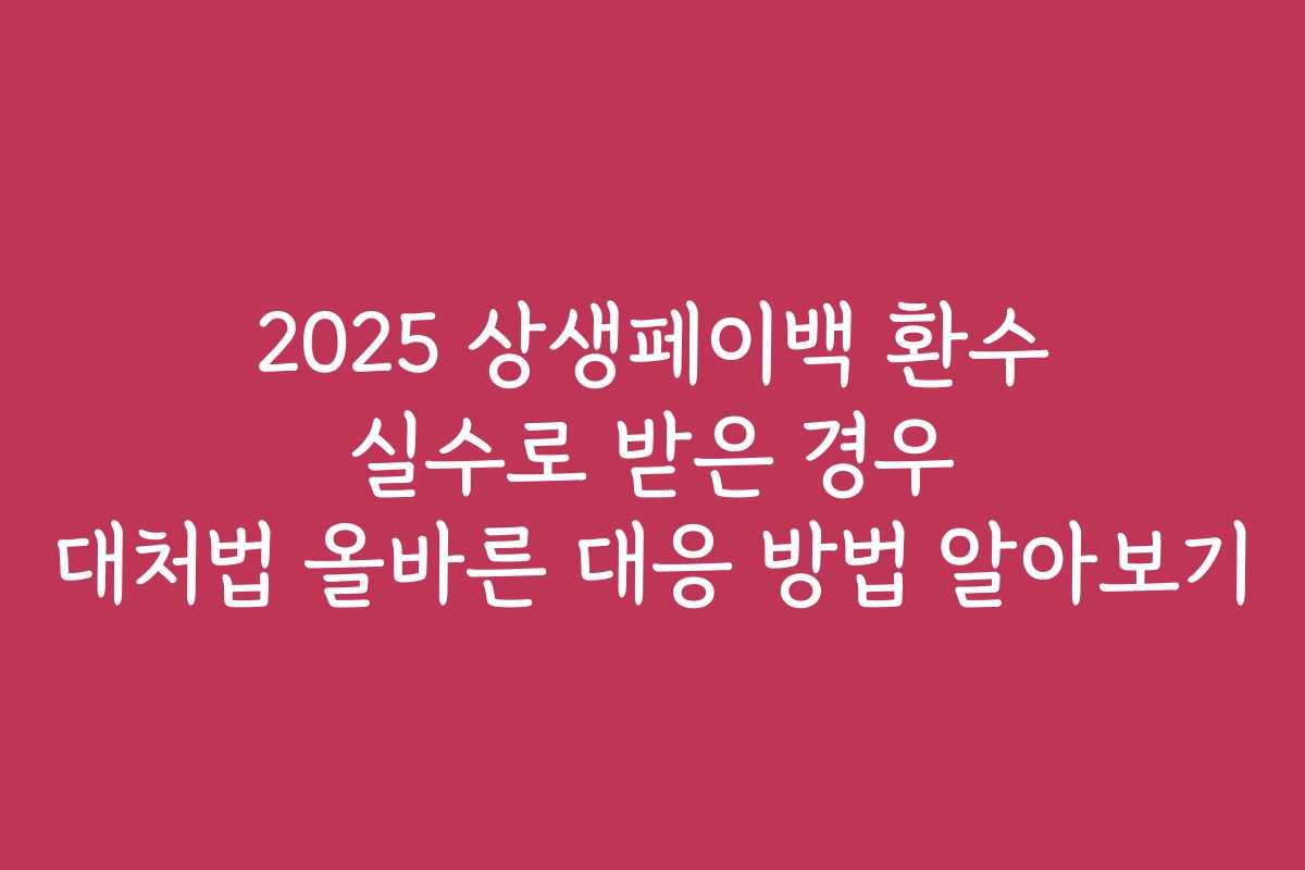 2025 상생페이백 환수 실수로 받은 경우 대처법 올바른 대응 방법 알아보기