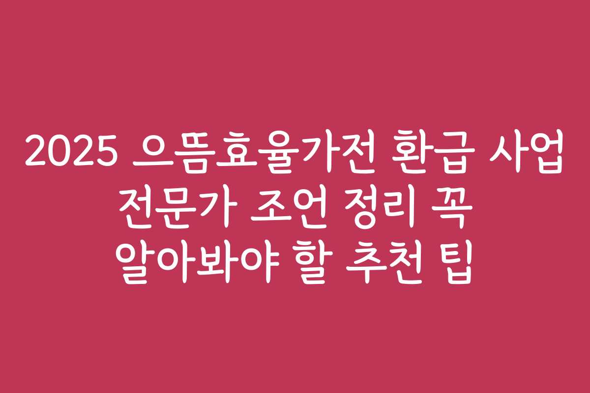 2025 으뜸효율가전 환급 사업 전문가 조언 정리 꼭 알아봐야 할 추천 팁
