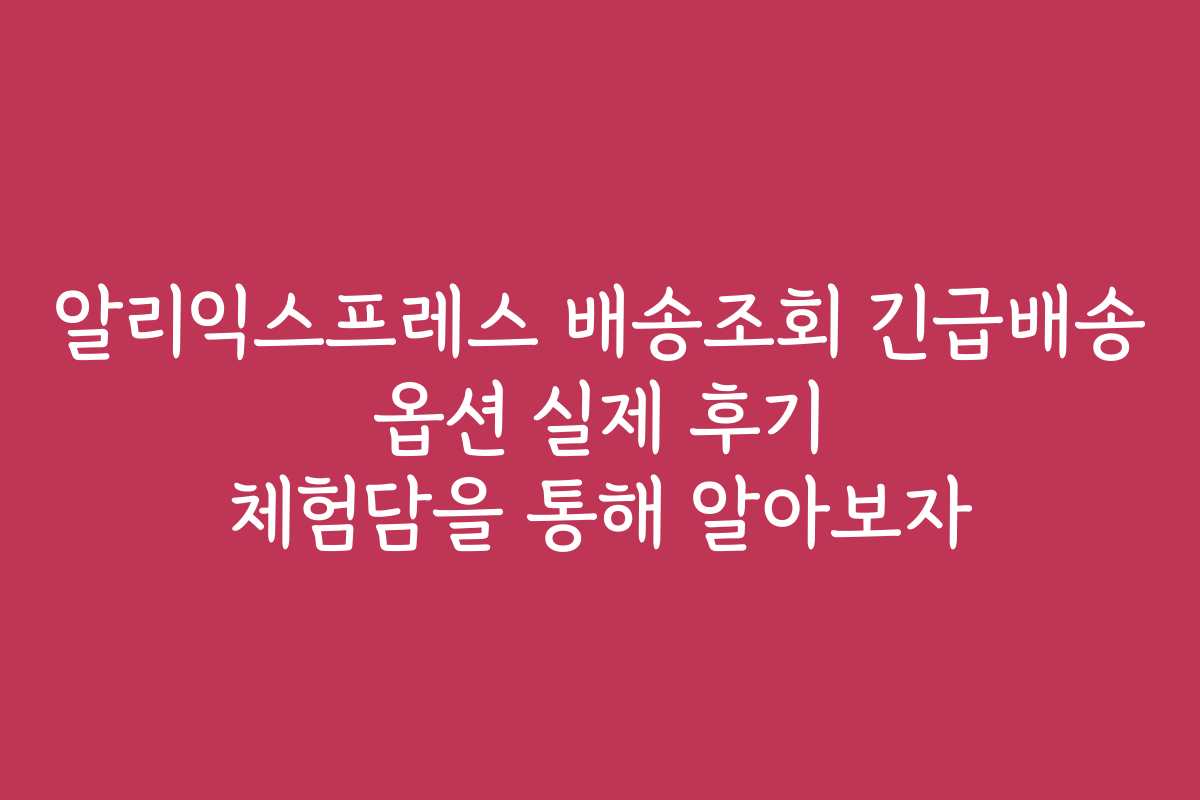 알리익스프레스 배송조회 긴급배송 옵션 실제 후기 체험담을 통해 알아보자 알리익스프레스 배송조회 긴급배송 옵션 실제 후기 체험담을 통해 알아보자