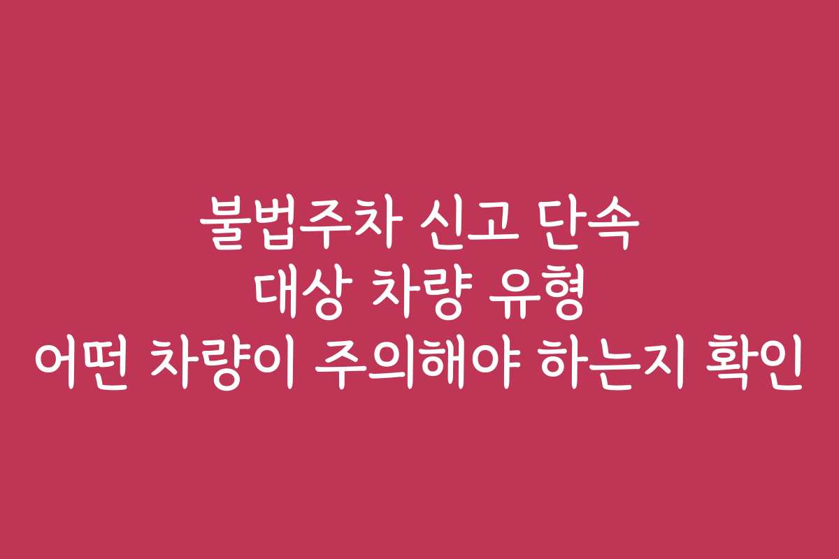 불법주차 신고 단속 대상 차량 유형 어떤 차량이 주의해야 하는지 확인 불법주차 신고 단속 대상 차량 유형 어떤 차량이 주의해야 하는지 확인