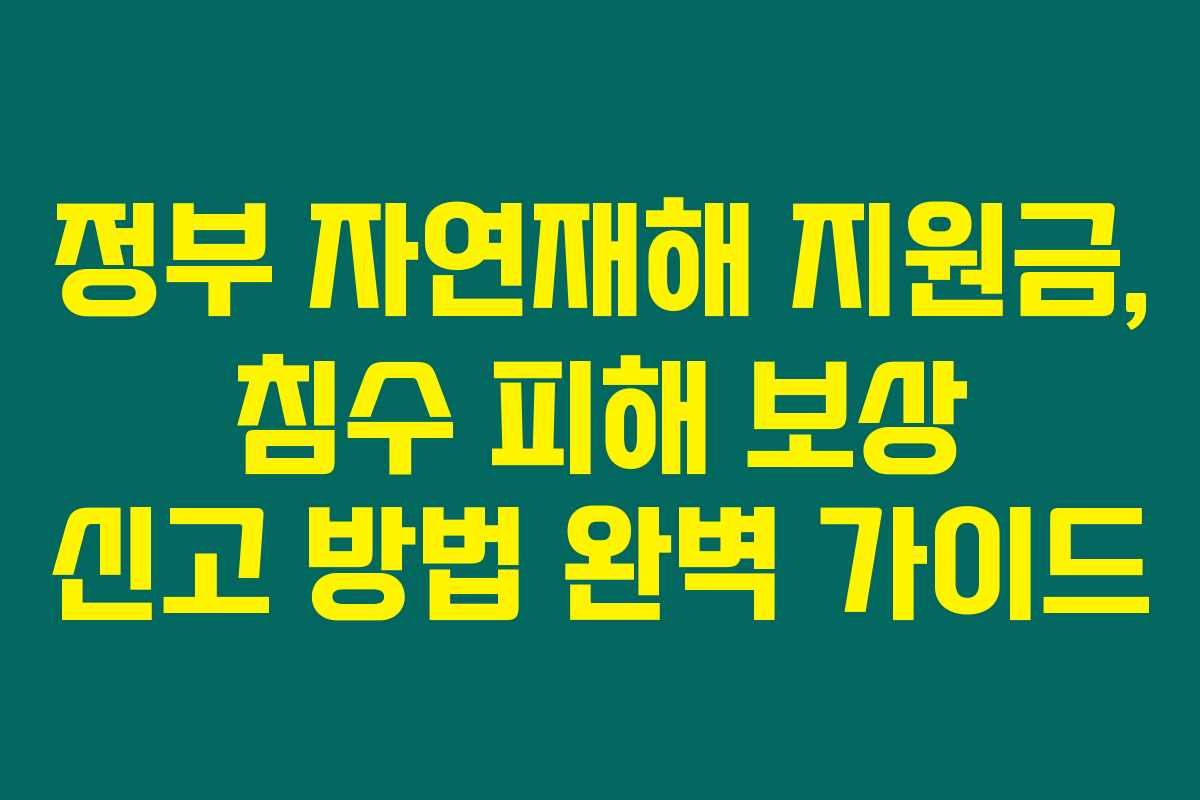 정부 자연재해 지원금, 침수 피해 보상 신고 방법 완벽 가이드
