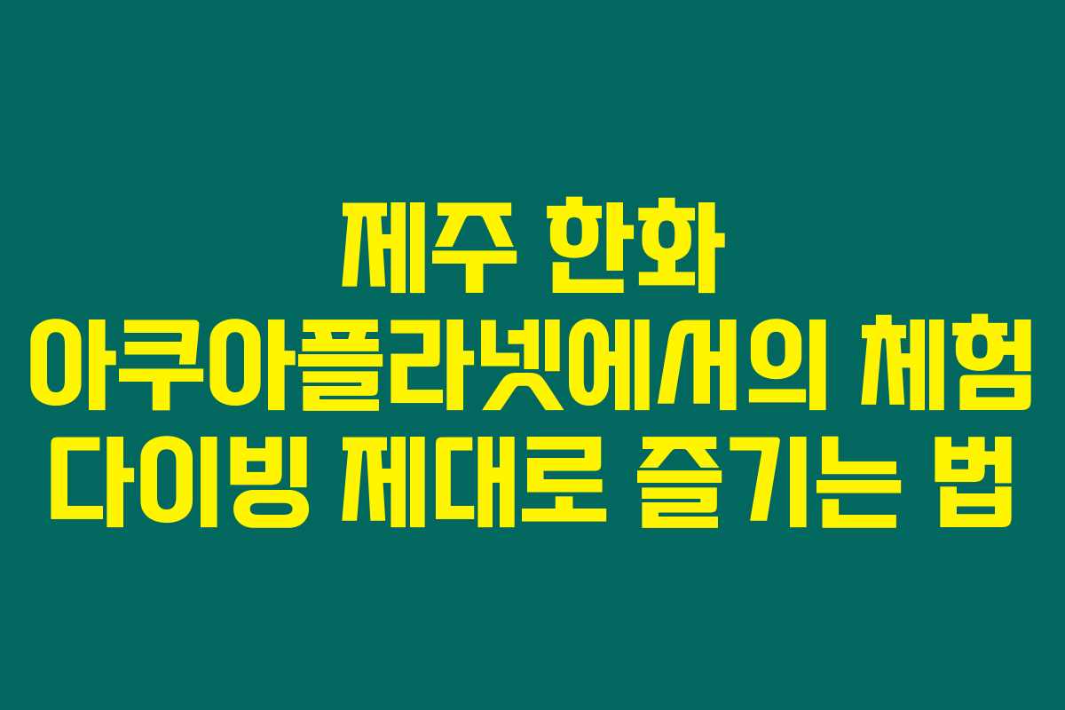 제주 한화 아쿠아플라넷에서의 체험 다이빙 제대로 즐기는 법