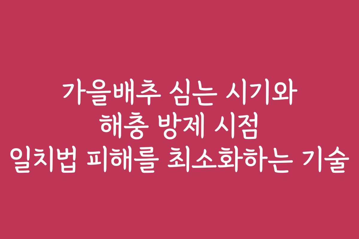 가을배추 심는 시기와 해충 방제 시점 일치법 피해를 최소화하는 기술