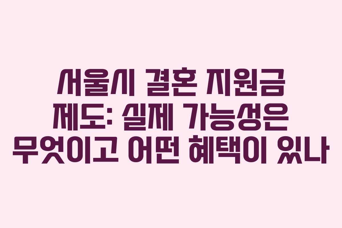 서울시 결혼 지원금 제도: 실제 가능성은 무엇이고 어떤 혜택이 있나