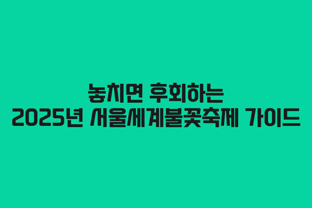 놓치면 후회하는 2025년 서울세계불꽃축제 가이드