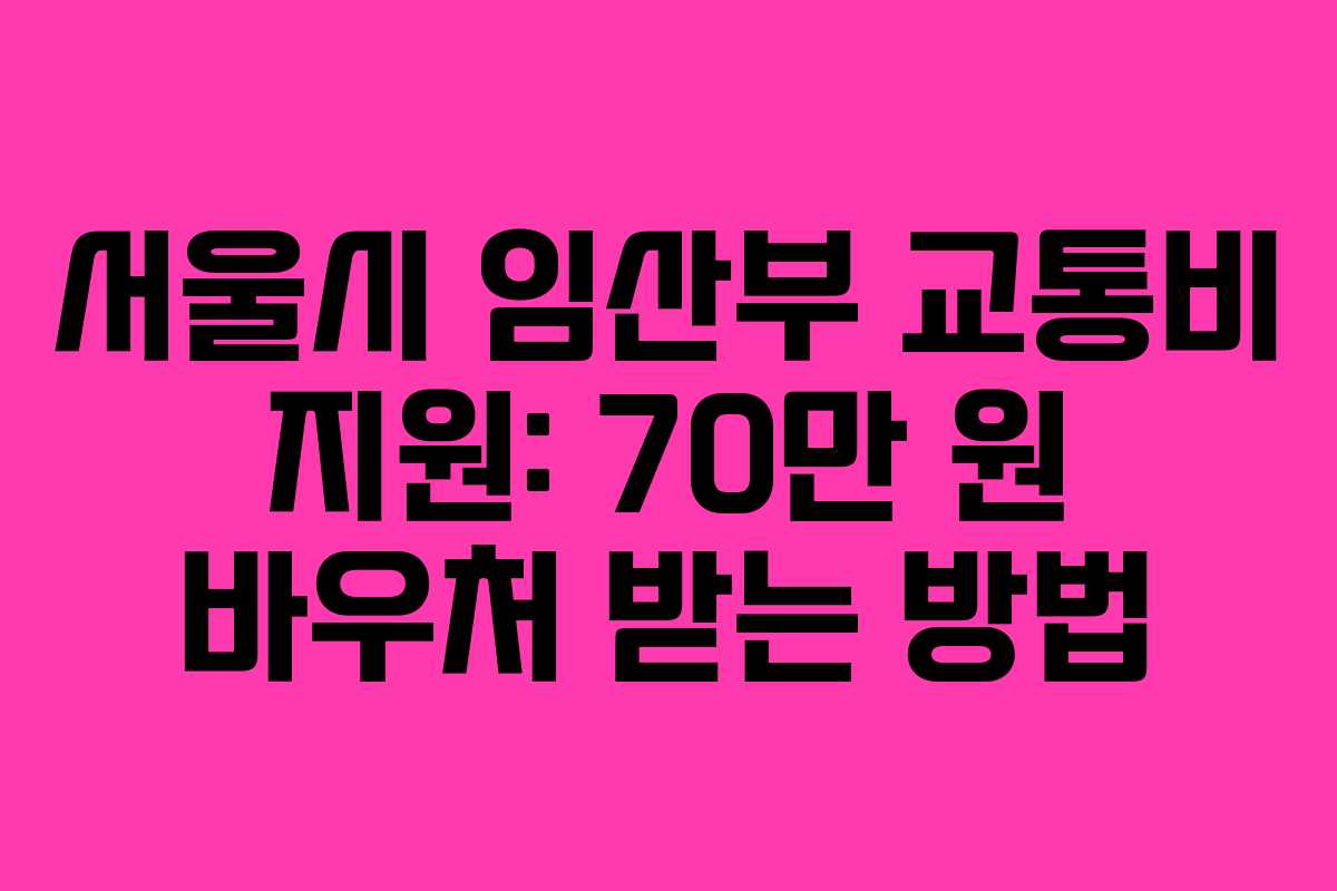 서울시 임산부 교통비 지원: 70만 원 바우처 받는 방법
