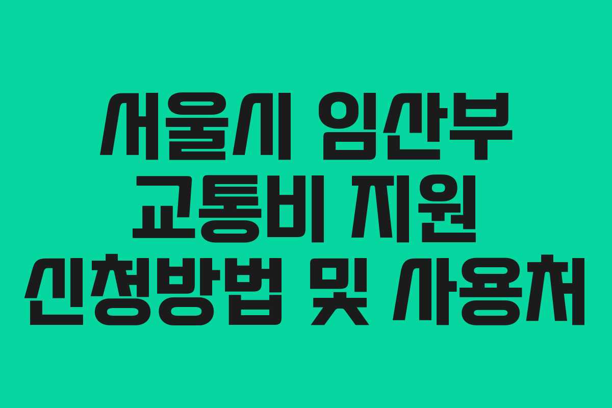 서울시 임산부 교통비 지원 신청방법 및 사용처