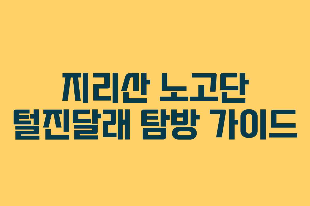 지리산 노고단 털진달래 탐방 가이드