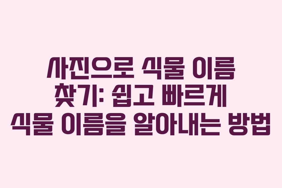 사진으로 식물 이름 찾기: 쉽고 빠르게 식물 이름을 알아내는 방법