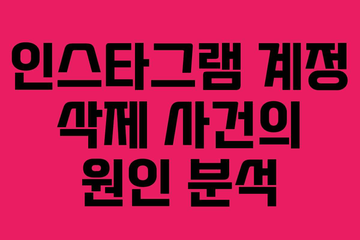 인스타그램 계정 삭제 사건의 원인 분석
