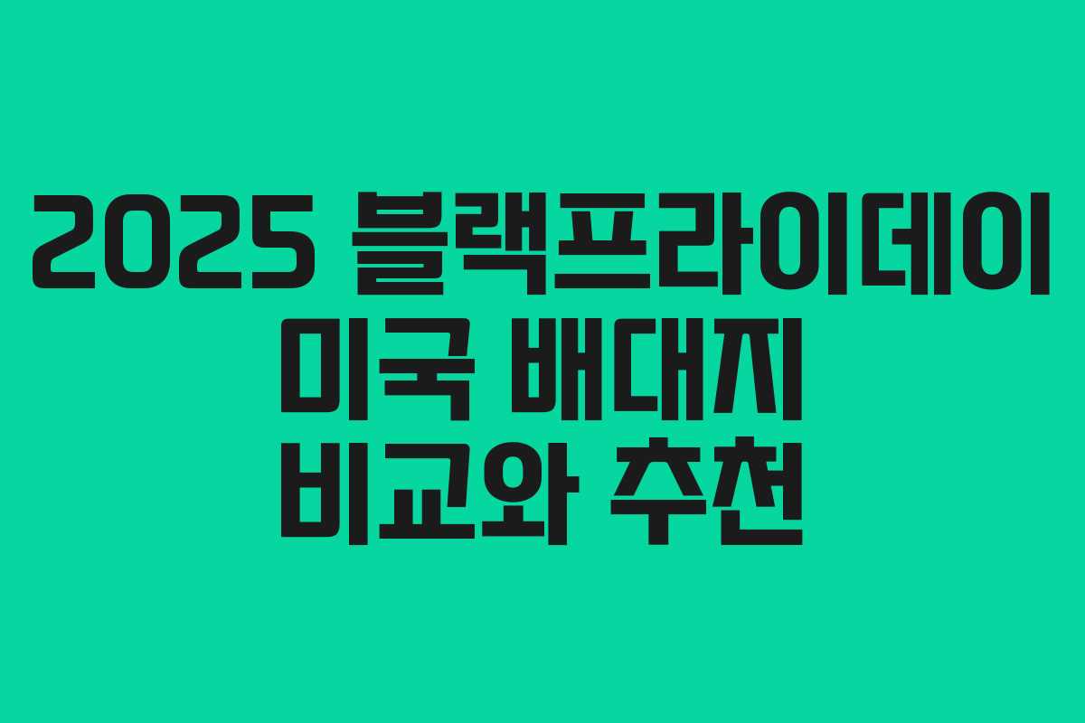 2025 블랙프라이데이 미국 배대지 비교와 추천