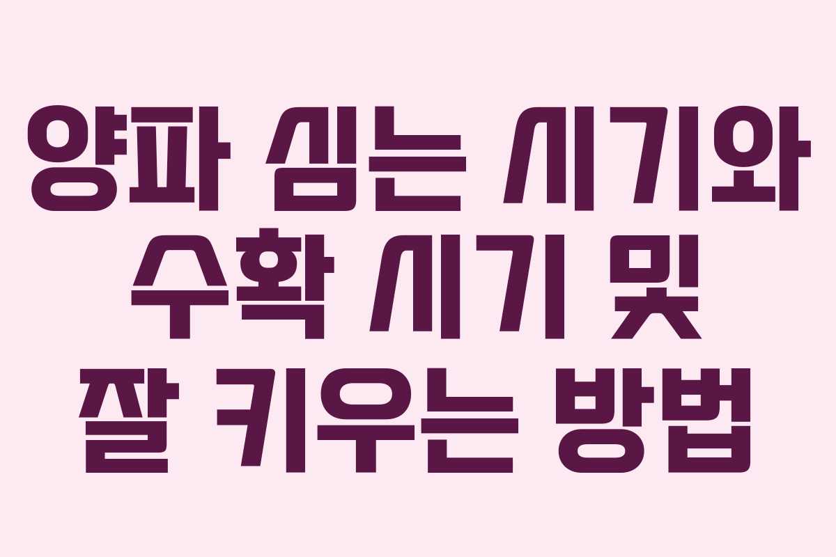 양파 심는 시기와 수확 시기 및 잘 키우는 방법