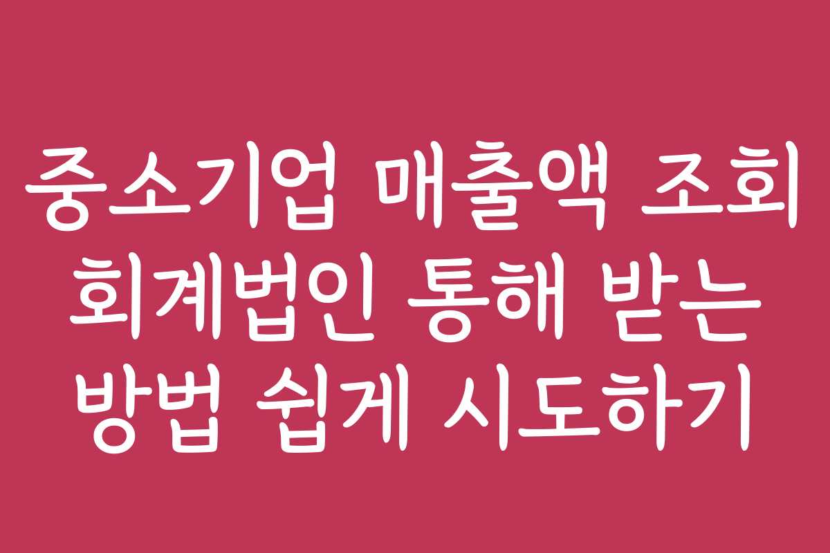 중소기업 매출액 조회 회계법인 통해 받는 방법 쉽게 시도하기