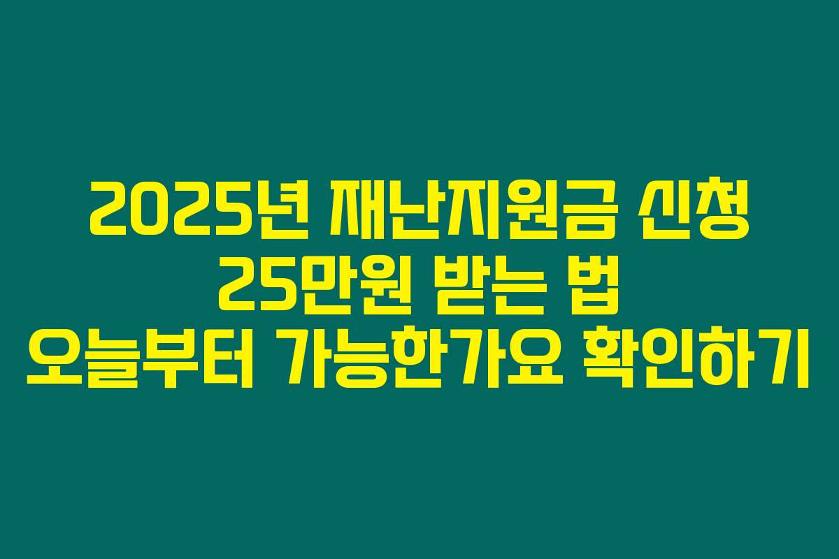 2025년 재난지원금 신청 25만원 받는 법 오늘부터 가능한가요 확인하기