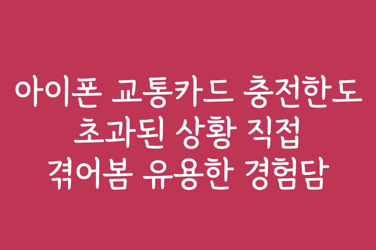 아이폰 교통카드 충전한도 초과된 상황 직접 겪어봄 유용한 경험담