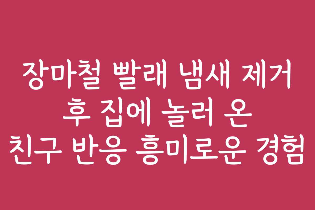 장마철 빨래 냄새 제거 후 집에 놀러 온 친구 반응 흥미로운 경험