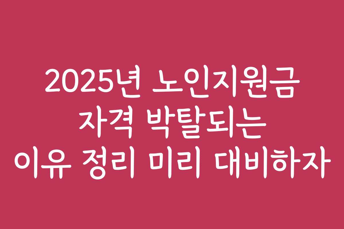 2025년 노인지원금 자격 박탈되는 이유 정리 미리 대비하자
