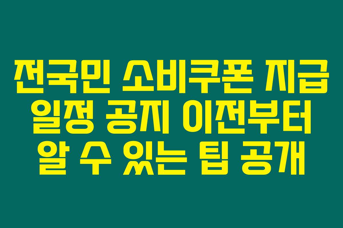 전국민 소비쿠폰 지급 일정 공지 이전부터 알 수 있는 팁 공개