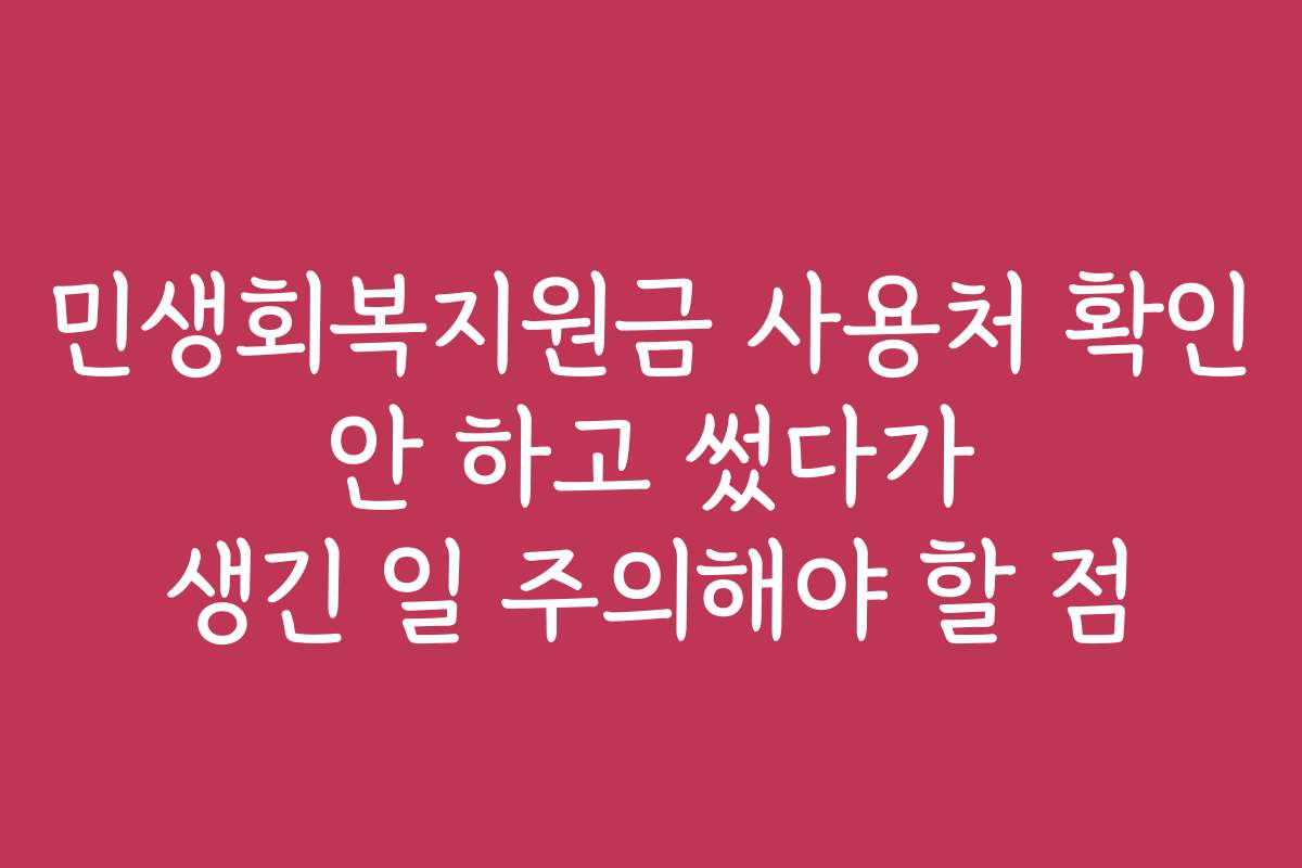 민생회복지원금 사용처 확인 안 하고 썼다가 생긴 일 주의해야 할 점