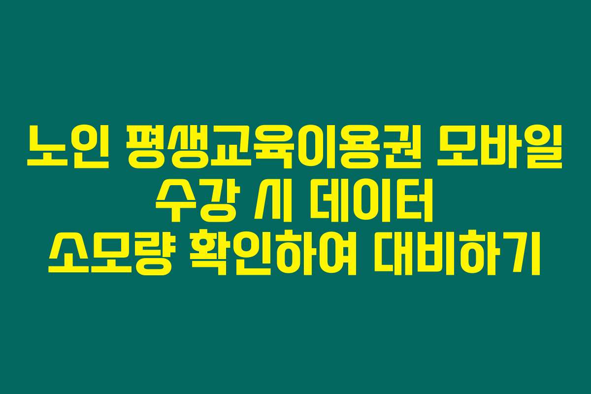 노인 평생교육이용권 모바일 수강 시 데이터 소모량 확인하여 대비하기