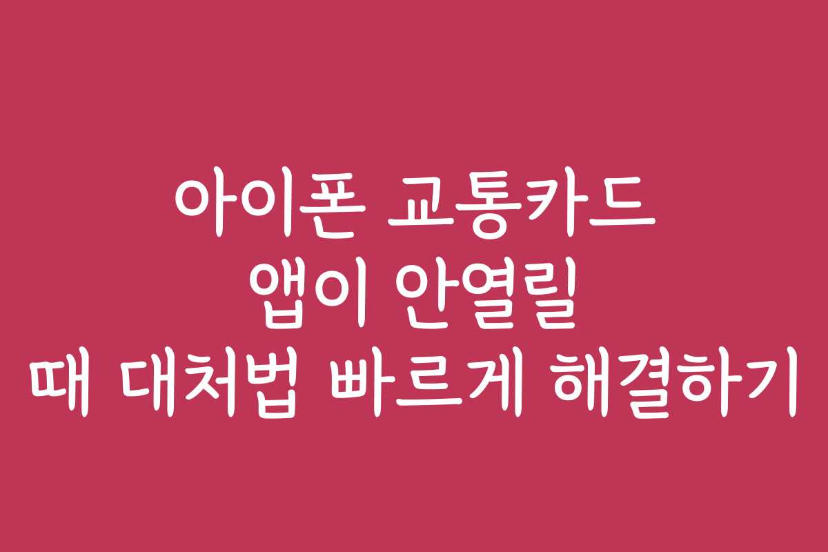 아이폰 교통카드 앱이 안열릴 때 대처법 빠르게 해결하기