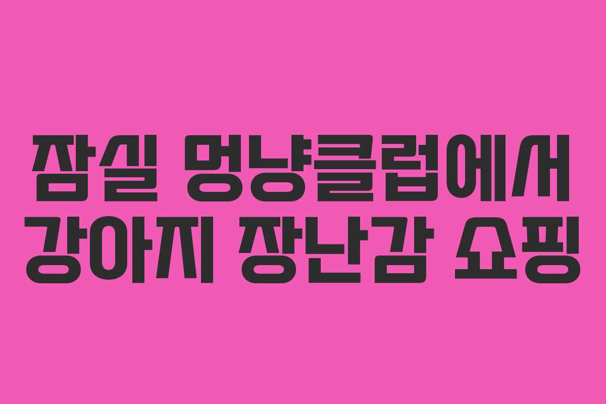 잠실 멍냥클럽에서 강아지 장난감 쇼핑