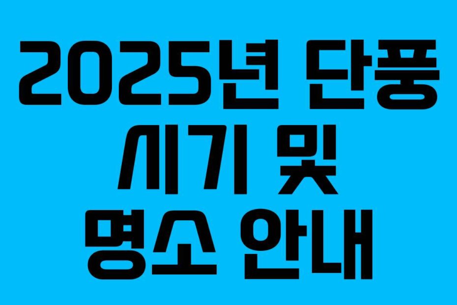 2025년 단풍 시기 및 명소 안내