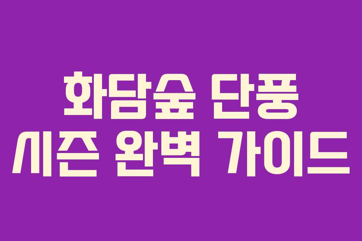 화담숲 단풍 시즌 완벽 가이드