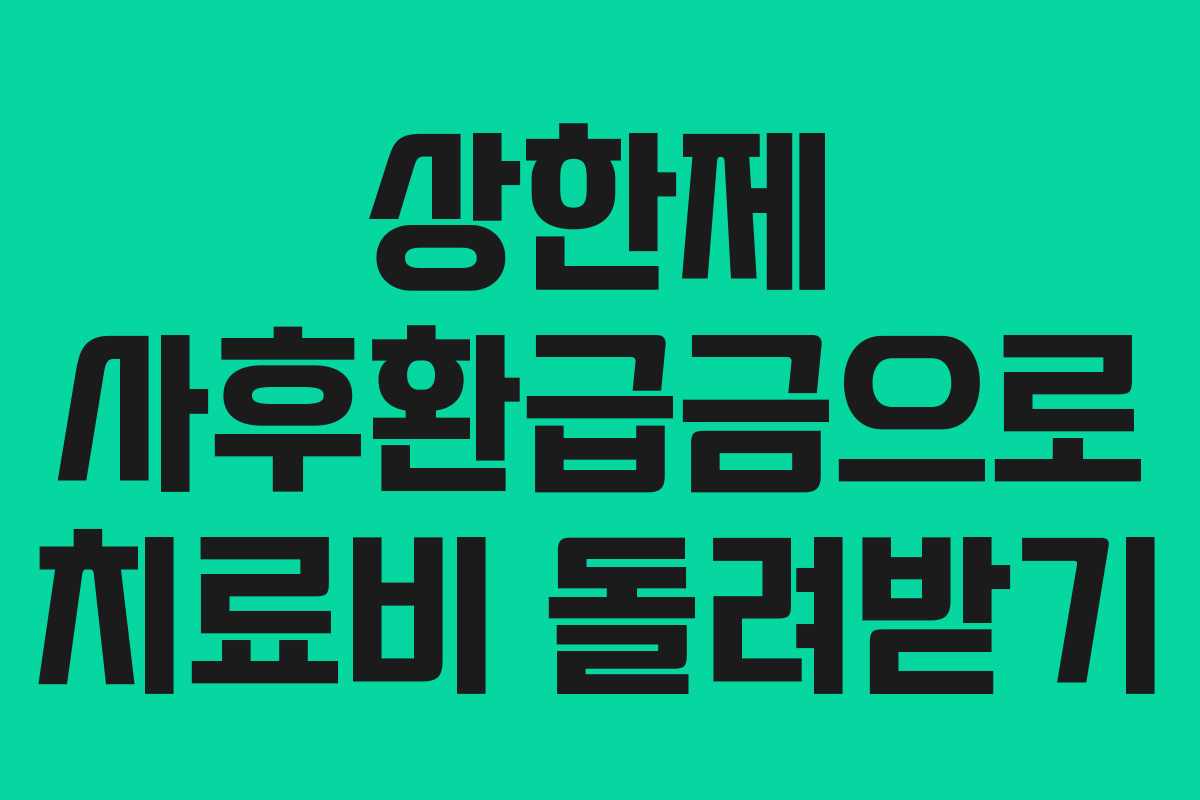 상한제 사후환급금으로 치료비 돌려받기