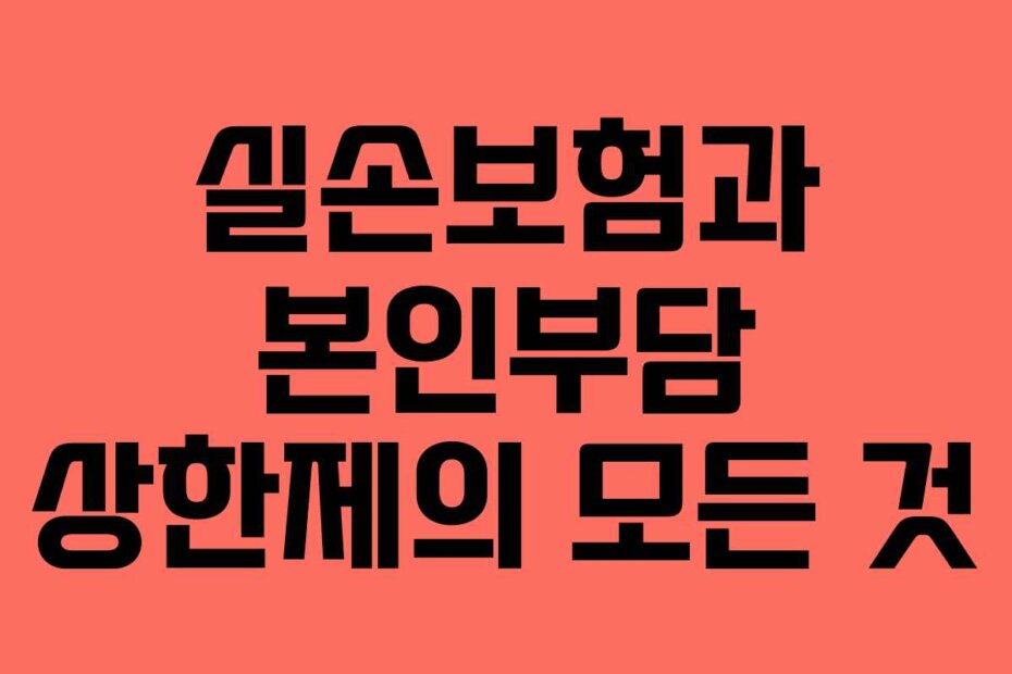 실손보험과 본인부담 상한제의 모든 것