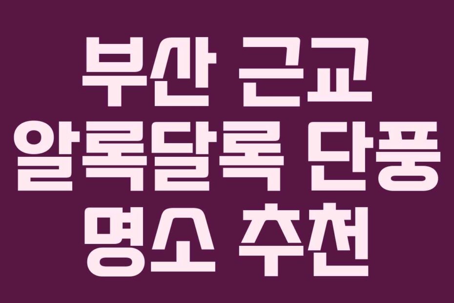 부산 근교 알록달록 단풍 명소 추천