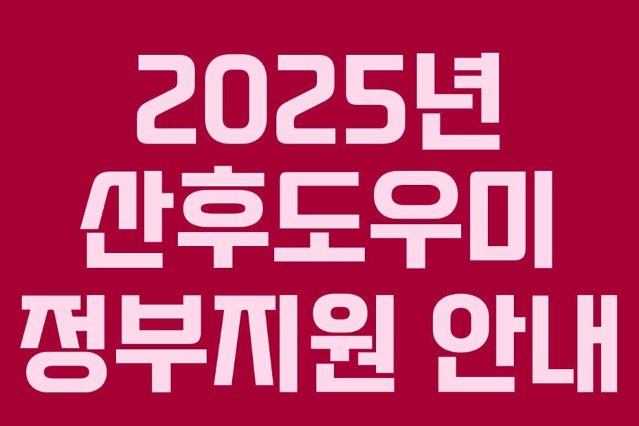2025년 산후도우미 정부지원 안내