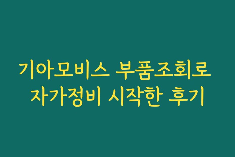 기아모비스 부품조회로 자가정비 시작한 후기