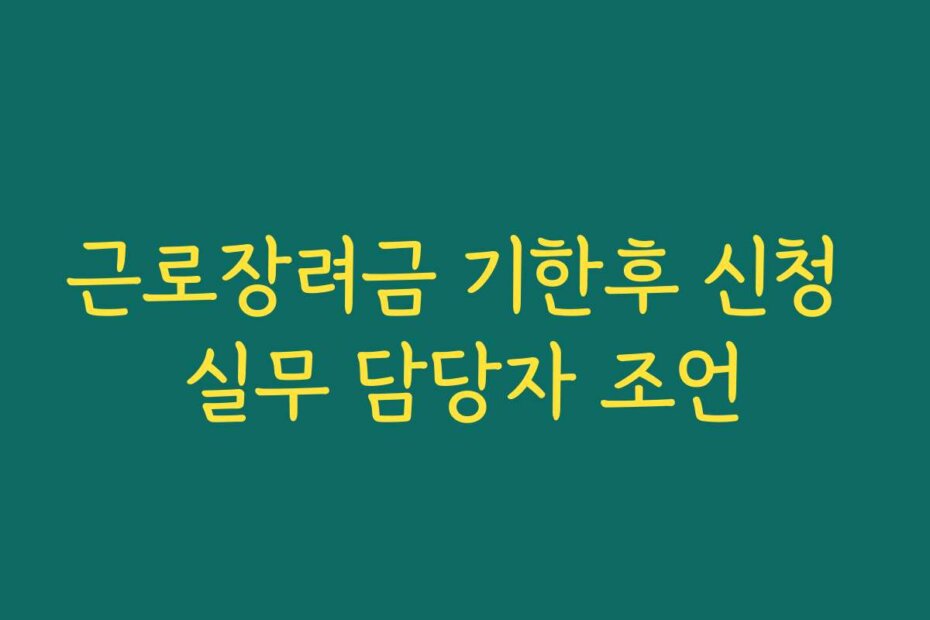 근로장려금 기한후 신청 실무 담당자 조언