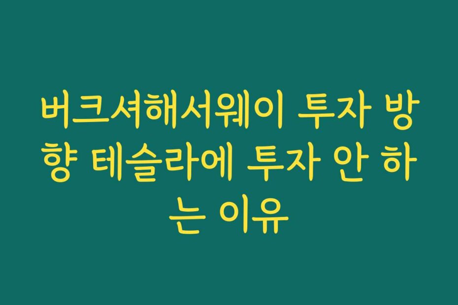 버크셔해서웨이 투자 방향 테슬라에 투자 안 하는 이유