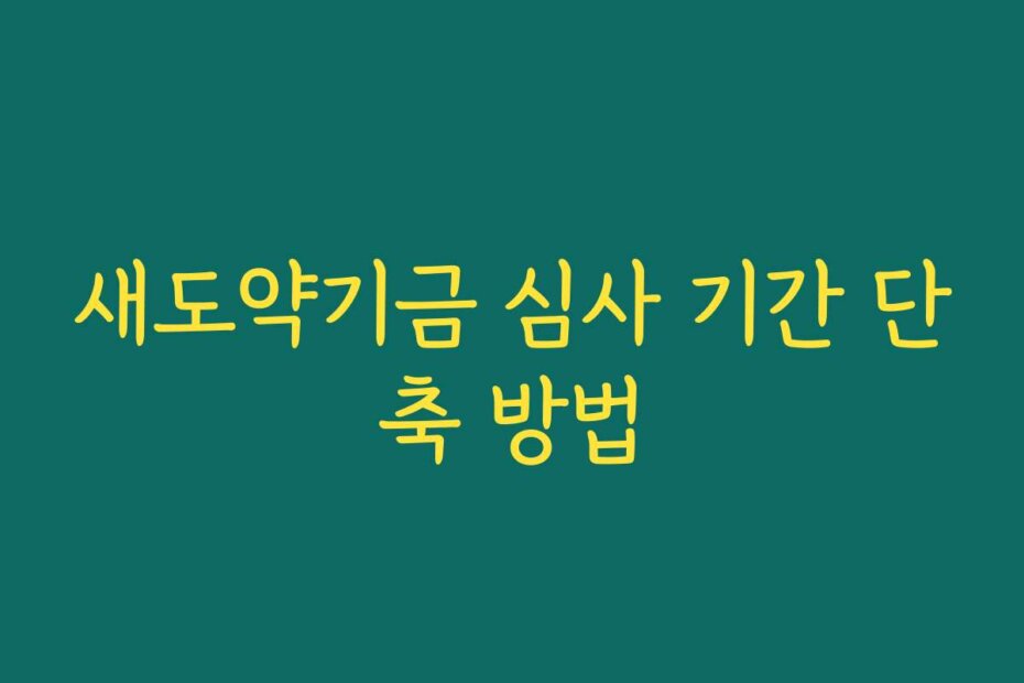 새도약기금 심사 기간 단축 방법